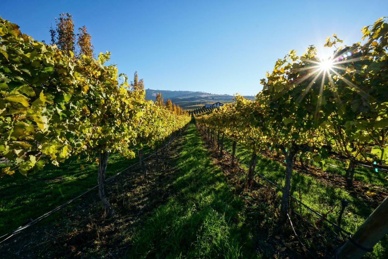 The Vineyards Lodge Chelan Esterno foto